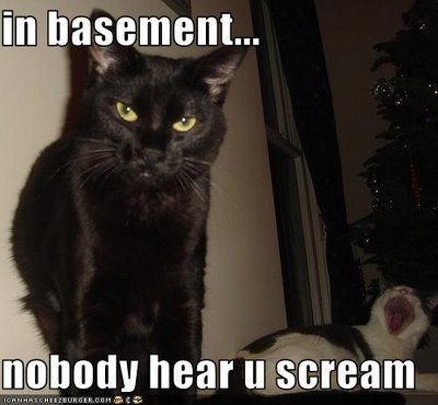 mmm, maybe if I dumb it down for 'you' Lolcat-basement-cat-in-basement-nobody-hear-you-scream