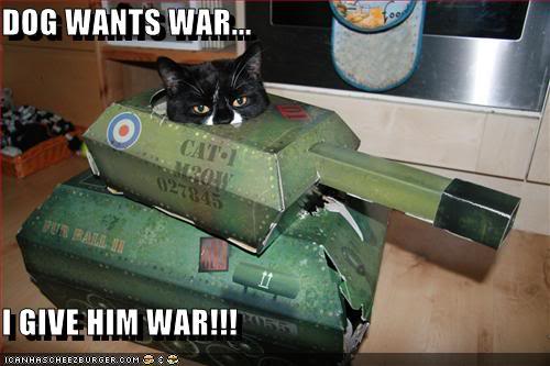 LOLcat Dog War