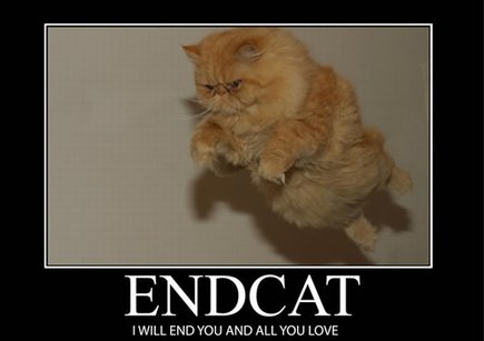 LOLCat Endcat