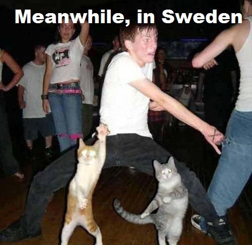 Demotivational: Meanwhile, in Sweden