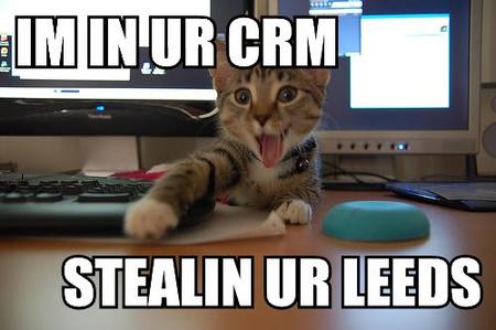 LOLcat: In your CRM stealing leads