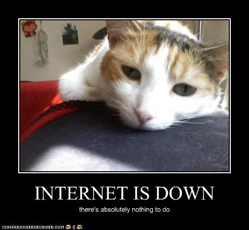 LOLcat: Internet Down