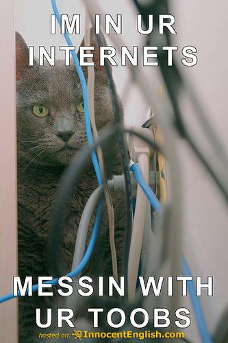 LOLcat: Internet Toob Cat