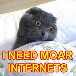 LOLcat: I need moar internets